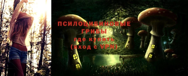 MDMA Богородицк