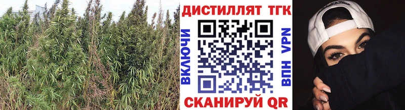 ТГК THC oil  наркошоп  Вятские Поляны 